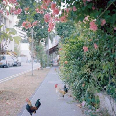 爱游戏com手机app下载