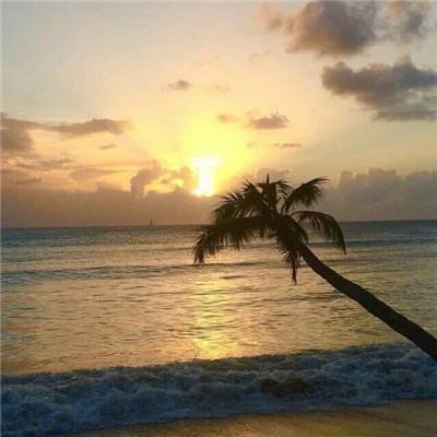 B体育IOS版下载安装