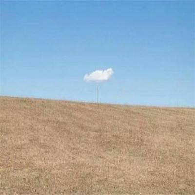 必博手机网页版app下载